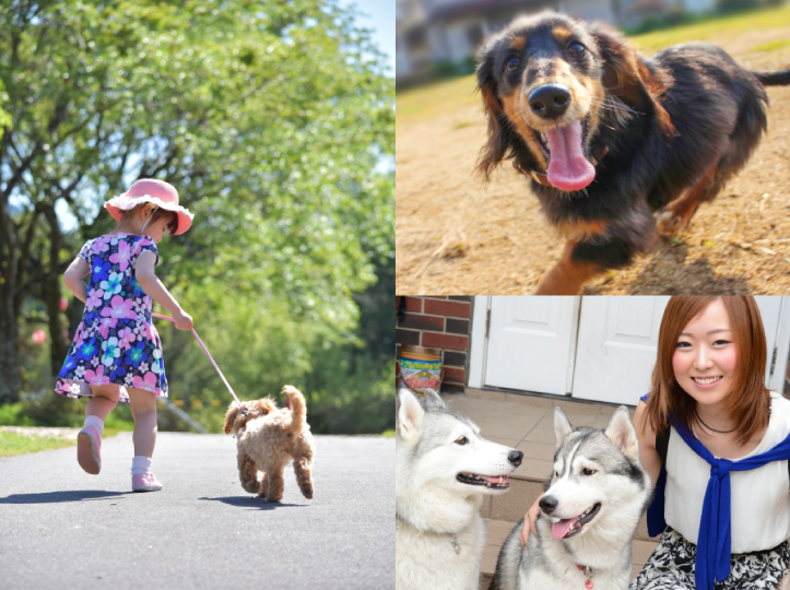 news_pets_3