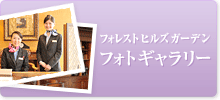 フォトギャラリー