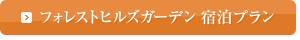 宿泊プラン